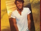 ANDY GIBB - Greatest Hits (Vinyl LP) 1980 RSO RX-1-3091