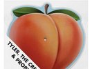 Tyler The Creator / Prophet Peach Fuzz Vinyl Shaped Picture Disc RARE Brand New