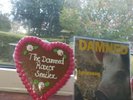 The Damned Love Song  Pink Vinyl With Love Heart Limited Copies...