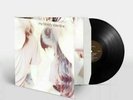 MY BLOODY VALENTINE  Isn't Anything  RISTAMPA  LP 2021  SOLDOUT ALBUM PRE ORDER