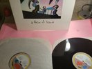 RUSH SHOW OF HANDS Vinyl Record Album LP 1st Pressing/Original Release 89 NM/NM