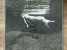 Bill Evans Jim Hall UNDERCURRENT Mobile Fidelity MoFi MFSL LP NEW SEALED #7345