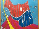 American Blues: Is Here, Acid Archives, ZZ Top Rare re, AMAZING US PSYCH/GARAGE
