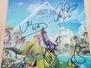 Asia  John Wetton Alpha Vinyl signed by the complete Band 1990