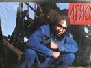 Apache Aint Shit LP 1993 Diamond, Tribe Called Quest