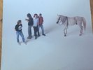 Soul Asylum, And The Horse They Rode In On, 12” Color Vinyl, 1990, Twin Tone