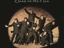 PAUL McCARTNEY AND WINGS BAND ON THE RUN 180 GRAM VINYL LP (Remastered)