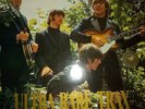 The Beatles  Trax Volume 4 Green Vinyl