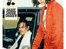 The Do-Shake Shook Shaken VINYL NEUF