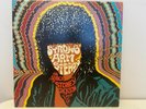 Strong Arm Steady In Search Of Stoney Jackson 2LP Madlib