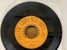 David Chalmers/Sid Houston Holocaust / Snow White Horse 45 Record