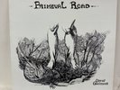 David Chalmers Primeval Road Lp