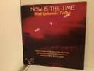 Multiphonic Tribe ?– Now Is The Time - Sugar Hill  -  US press - 1980 orig