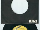 Northern Soul Sam Williams GRAPEVINE 116 Love slipped through / You don't mean ?