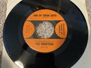 ROOSTERS: One Of These Days-You Gotta Run-U.S. 7