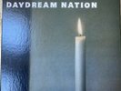 SONIC YOUTH, DayDream Nation 2007 US VINYL BOX SET 4 LP  w/ Booklet   GOOFIN