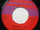 1973 Rocksteady Reggae - MEANING OF LIFE - THE HEPTONES - UK DOWNTOWN  Soundclip
