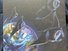 Protest The Hero Pacific Myth Vinyl Boxset