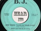 Obscure Pittsburgh PA Teen 45 EDDY AND THE BLUE JAYS Why Did You Go B.J. hear