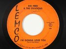 Funk 45 - Big Fred & The Ovations - I'm Gonna Love You - Lemco - mp3 - obscure