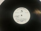 Hootie And The Blowfish Fairweather Johnson LP Test Pressing