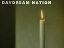 Sonic Youth - Daydream Nation LP double vinyl Thurston Moore Kim Gordon