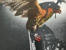 Budgie In For The Kill LP Vinyl Schallplatte
