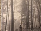 Taylor Swift FOLKLORE (IN THE TREES) Gatefold NEW BROWN COLORED VINYL 2 LP