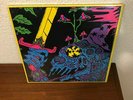 LP'S KING GIZZARD & THE LIZARD WIZARD LIVE AT THE BARTON THEATRE AUSTRALIA 2019