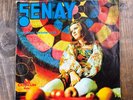 ?enay ?– Hayat Bayram Olsa - TURKISH FEMALE FUNK SOUL DISCO 45
