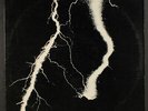 WHITE NOISE: an electric storm ANTILLES 12
