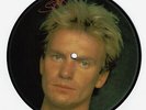 THE POLICE Wrapped Around Your Finger Vinyl Record 7 Inch A&M 1983 Picture Disc