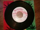 Melodious - Bunny Flipper - Reggae Vibes  7'-Killa