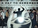 What Separates Me from You by A Day to Remember vinyl black