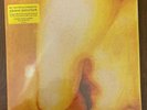SMASHING PUMPKINS - Pisces Iscariot 2 x LP 180 Gram Vinyl Album NEW Sealed