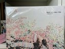 TAEYEON - 4th Mini [What Do I Call You] Vinyl (LP Ver.) / (SEALED) K-POP
