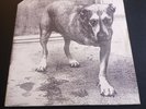 1995 Alice In Chains Self Titled S/T  2LP Columbia ?Records C2 67248 VG/NM