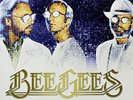 Bee Gees ?– Timeless (The All-Time Greatest Hits) 2 x VINYL RECORDS MUSIC -