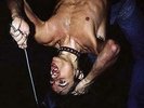 Total Chaos The Story of the Stooges, Iggy Pop,  Hardback