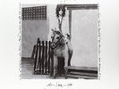 Smith Patti-Horses / Live At Electric Lady VINYL NEUF