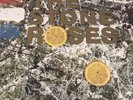 The Stone Roses - The Stone Roses Vinyl LP Good Condition