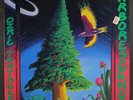 OZRIC TENTACLES: arborescence DOVETAIL 12