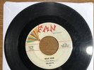 DEL-RAYS 45 Wild Ride - Killer Frantic Rockabilly Surf Instro Rocker Unknown FAN