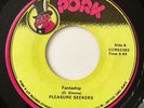 PLEASURE SEEKERS Fantaship PORK 45 Rare Modern Soul Stepper MP3