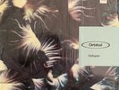 Orbital Halcyon 12” Vinyl (Mortal Combat)