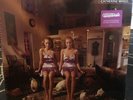 CATHERINE WHEEL - Like Cats And Dogs SEALED Purple RSD shoegaze (Lush Slowdive)