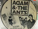 Adam & the ants picture disc vinyl interview young parisians lady RARE postcard