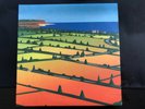 Lemon Jelly ?– Lost Horizons Double LP