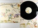 Chris Robinson Brotherhood - Barefoot In The Head 2xLP - VG+ Autograph Poster