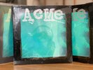 Acme Discography LP Vinyl 1992 first press sealed NEW Converge Rorschach